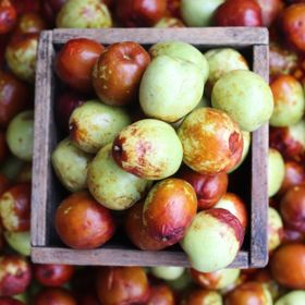 Green and brown jujube's harvested