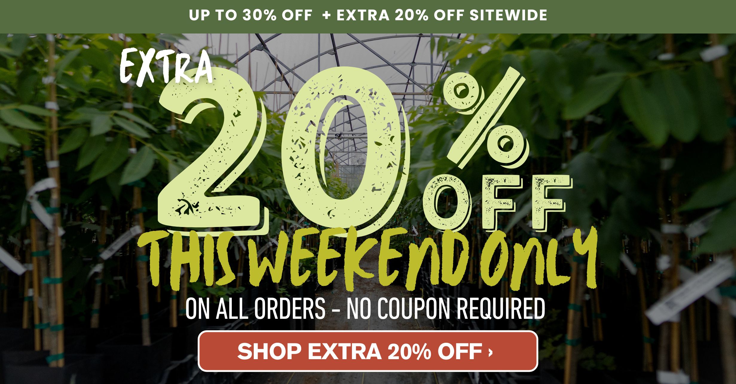 Take an extra 20% off everything! This weekend Only.