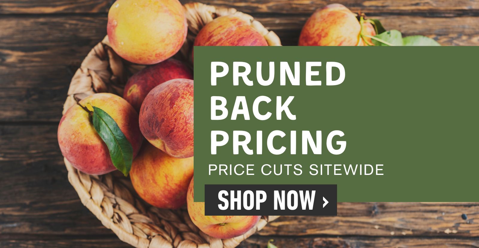 Shop pruned back pricing