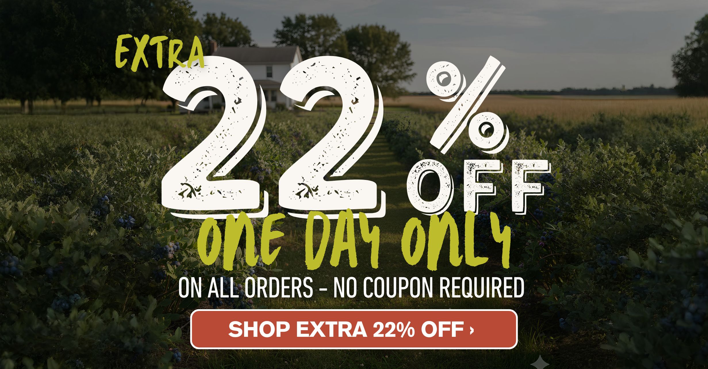 22% off everything! Today only.
