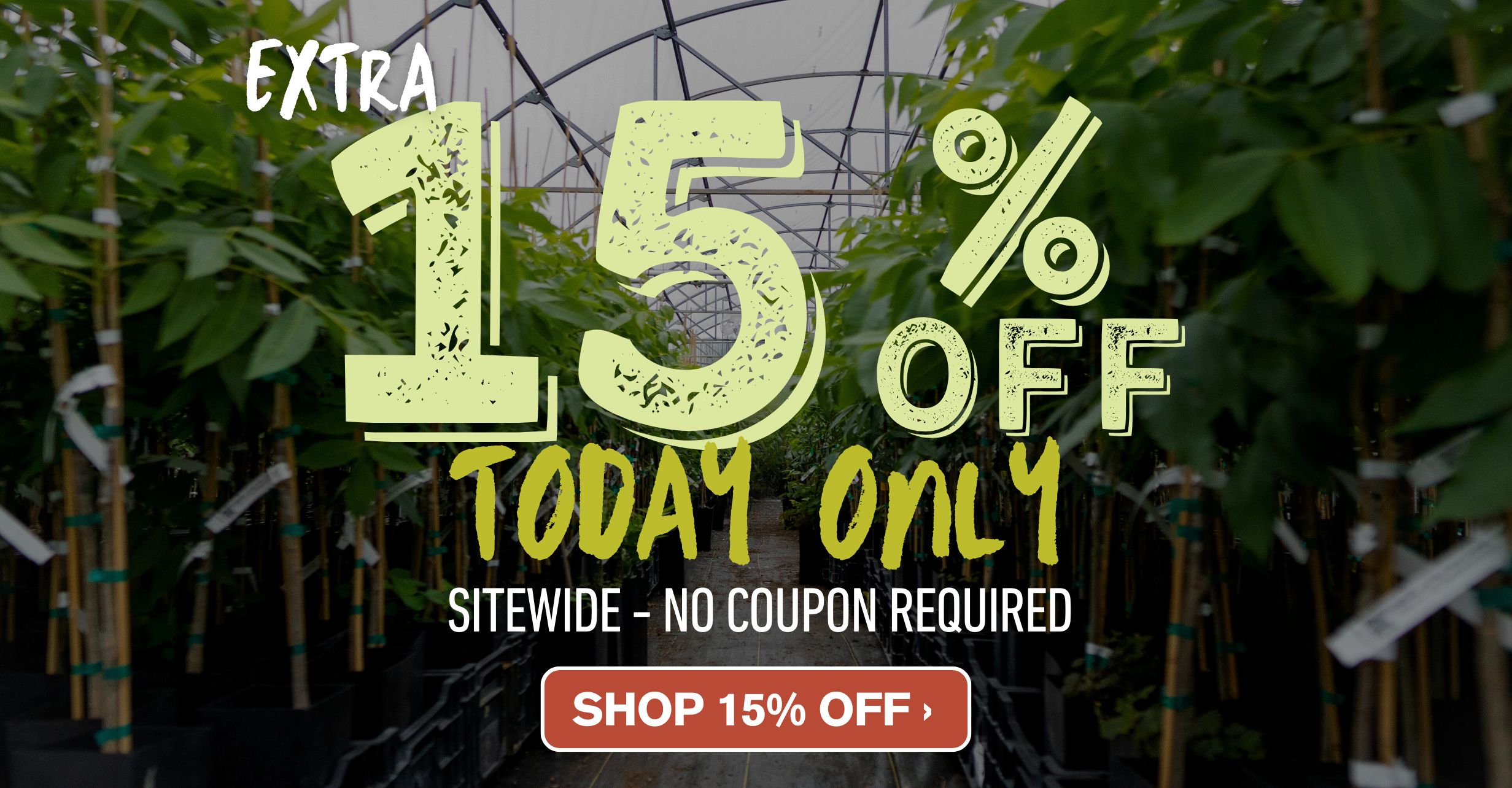 Extra 15% Off All Orders - Today Only!