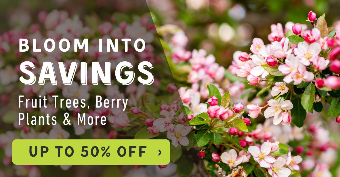 Save up to 50% off During Our Bloom into Savings Event Promo