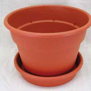 Photo of Dura-Cotta Pot