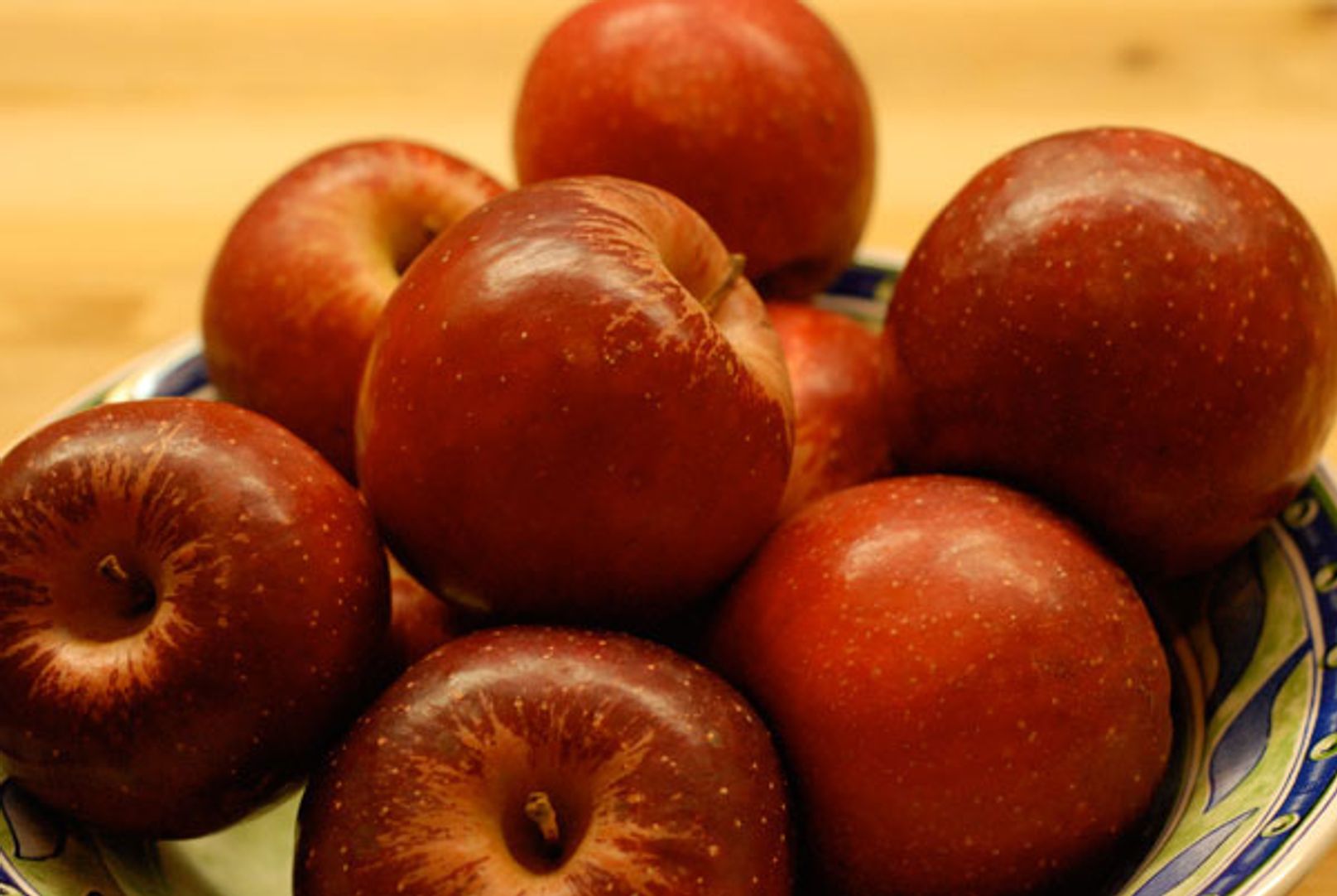 Cinnamon Spice Apple Tree - Stark Bro's