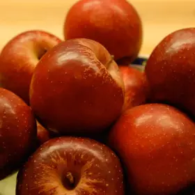 Photo of Cinnamon Spice Apple Tree