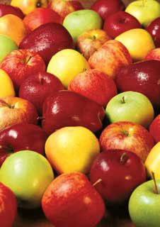 Photo of 4-N-1 Apple Tree