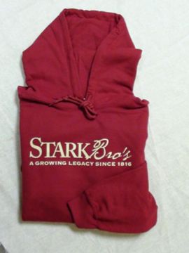 Photo of Branded Hooded Sweatshirt