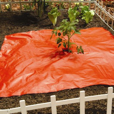 Photo of Better Reds® Mulch Film