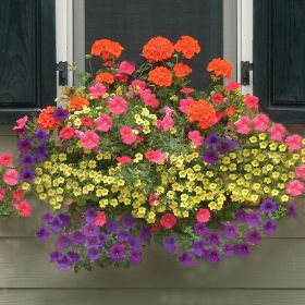 Photo of Rectangular 24" Planter & Liner
