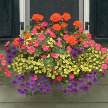 Photo of Rectangular 24" Planter & Liner