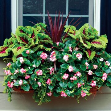 Photo of Rectangular 24" Planter & Liner