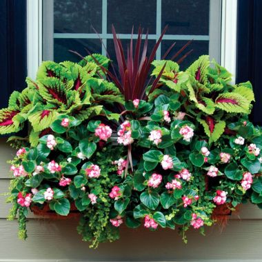 Photo of Rectangular 24" Planter & Liner