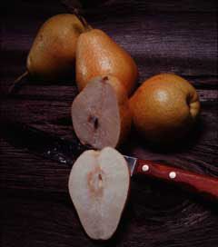 Photo of Tyson Antique Pear Tree