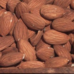 Photo of All-In-One Almond Tree