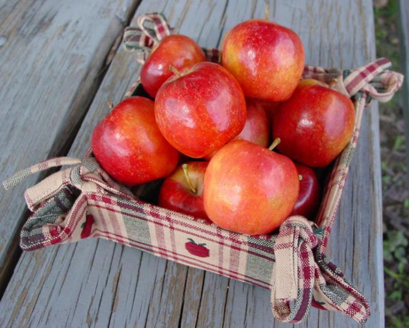 Whitney Crabapple Trees - Apple Trees - Stark Bro's