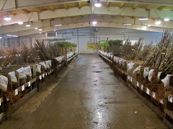 Read the full article Cooler for Temporary Storage