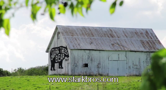 Stark Bro's Bear Barn