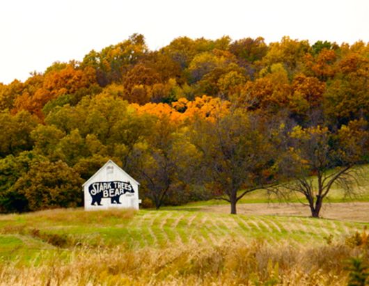 Stark barn with fall colors