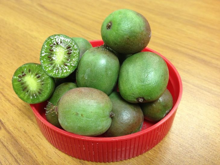 Bowl of hardy kiwi fruit