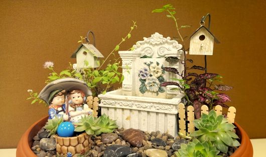 Miniature Garden