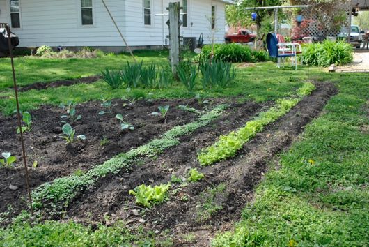 Home Garden