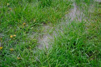 Standing Water During Rain