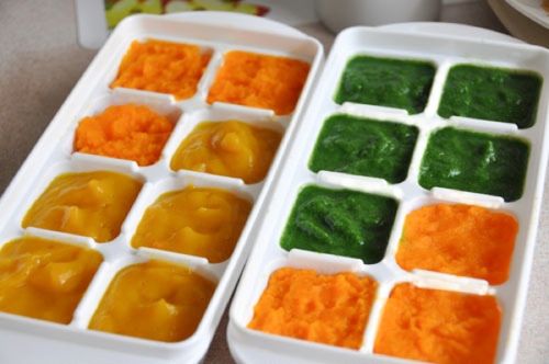 Cubes of Assorted Homemade Baby Food