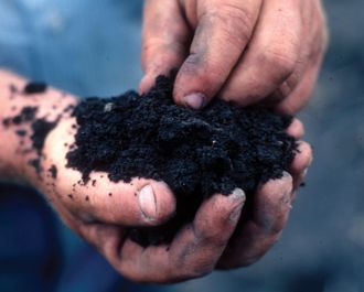 Nutrient-Rich Soil