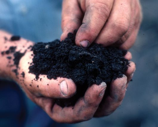 Nutrient-Rich Soil