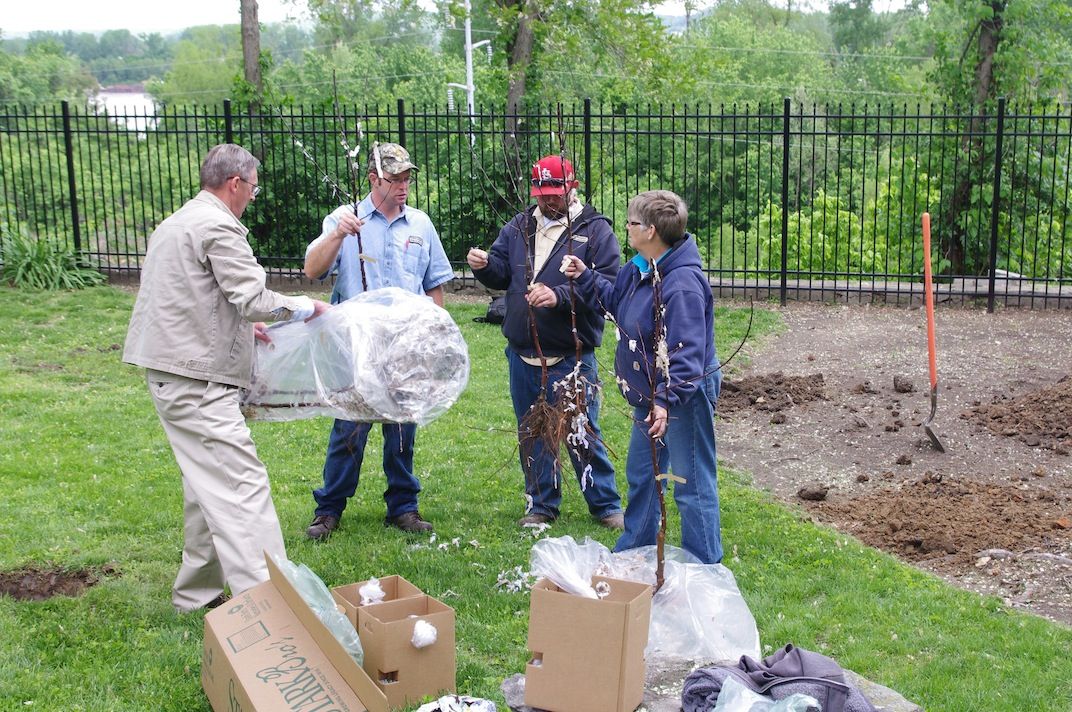 Stark Bro's Delivers Fruit Trees & Berry Plants Stark Bro's Delivers Fruit Trees & Berry Plants
