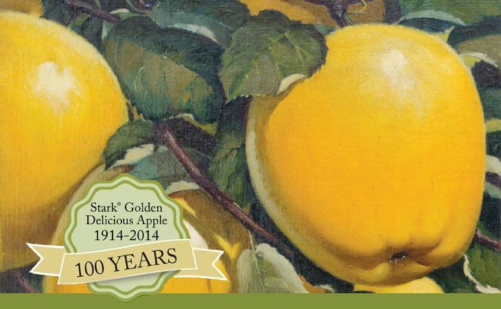 What is Golden Delicious ? Glossary