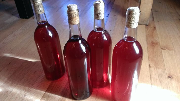 Bottles of Wine with Corks for Fermentation Process