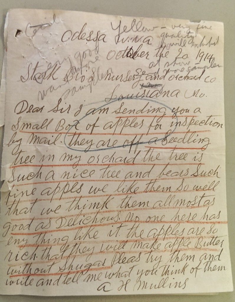 1914 Golden Delicious Letter to Stark Full