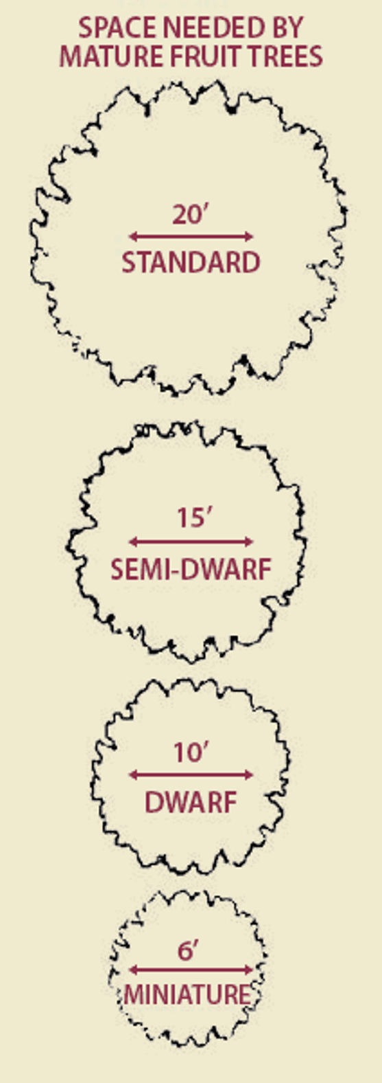 Choosing a Location for Apple Trees - Stark Bro's, image size:557x1576