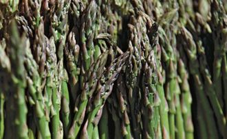 asparagus