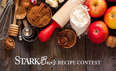 Read the full article Stark Recipes