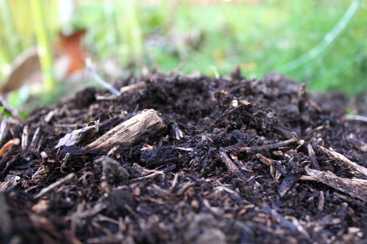 mound of soil