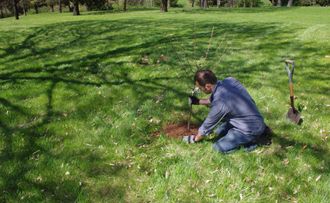 man planting