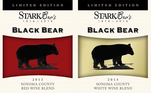Black bear wine label