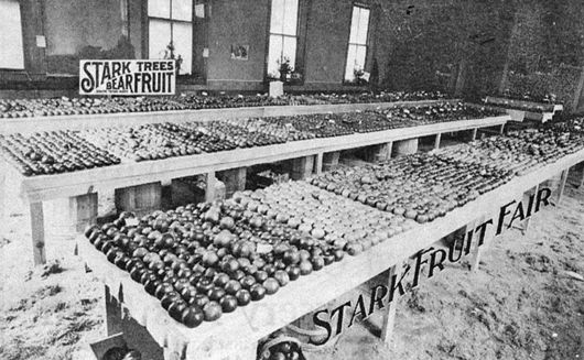 Vintage photo at the fruit fair