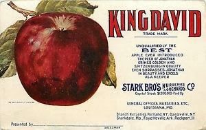 Vintage ad of King David Apple