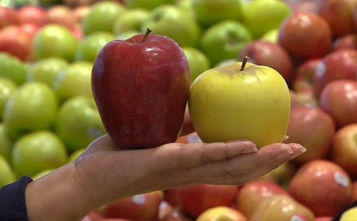 holding apples