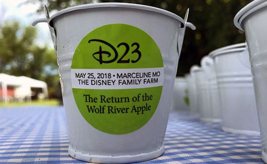 Small pail of soil for D23 planting