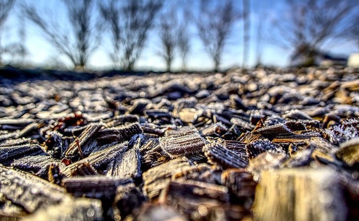 Color-Enhanced Dark Walnut Mulch - St. Louis Composting, Inc.