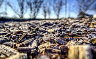 close up of mulch