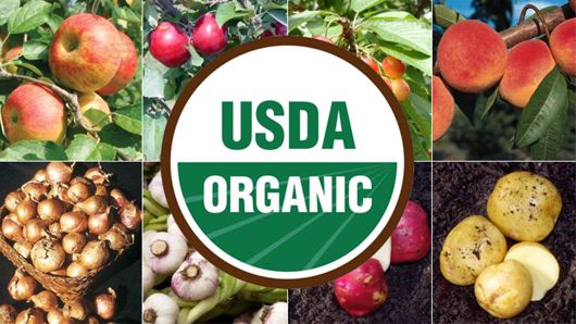 USDA Organic Logo