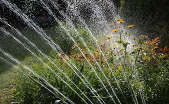 sprinkler watering plants