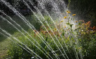 sprinkler watering plants