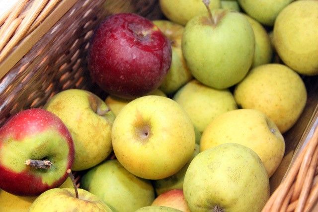 Apples, Honeycrisp, Organic - exist green