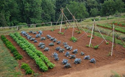 Read the full article Garden bed example